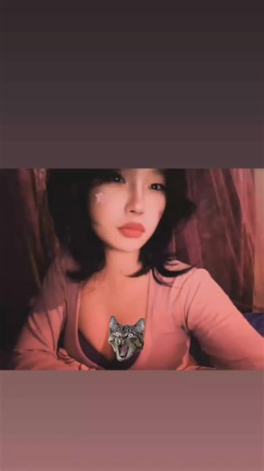 Meow Meow Cat Sounds