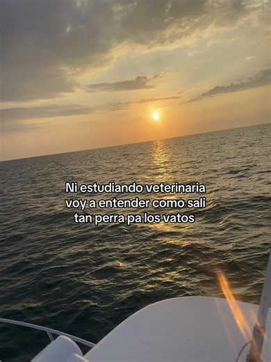 Videos de Babe👅 (@pt0.el.que.lo.lea) con “Como Yo Le Doy - Pitbull”