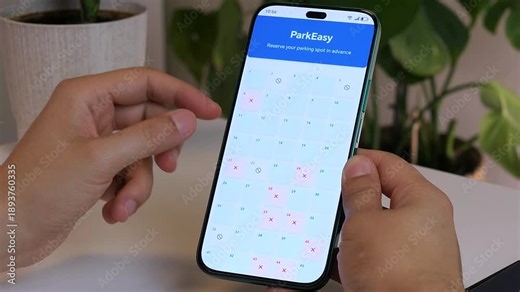 A clear journey from choice to confirmed reservation. The video captures the step-by-step process of a typical online booking: browsing options, making a selection, and achieving a positive outcome.