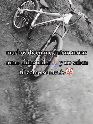 meros patos 🦆🤡#contenido #gwraven🚲🤟 #bikelifezapatoca💯🚀 #100kviews #fypシ゚viral