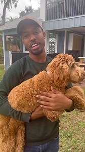 101K views · 5.6K reactions | THE LAST REASON HAD ME ROLLING 藍 Take 25% OFF for the next 24 Hours... ⏳ Use code "WP25" - Get Yours Right Now! ✅ | JoelPatrick | Facebook