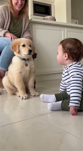 They’re definitely scheming something!! #funny #foryou #puppy #funnypets #cute #animals #baby