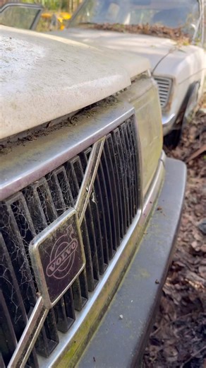 ABANDONED CARS WITH A STORY #automobile #classiccar #explore #urbex #fyp #car #abandoned #cars #uk