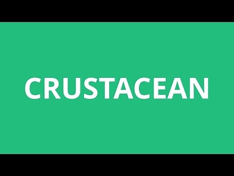 How To Pronounce Crustacean - Pronunciation Academy