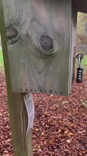 💚 Brat summer may be over, but geocaching autumn is just getting started 💚 #geocaching #shorts #geo