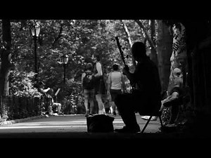 Chinese erhu player creates haunting music in NYC's Central Park
