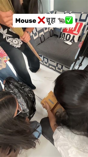 Corporate Employees vs “Mouse” Prank Gone Wrong 😂 | Office Comedy