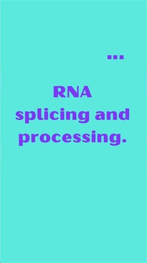 HNRNPA1 Heterogeneous Nuclear Ribonucleoprotein A1