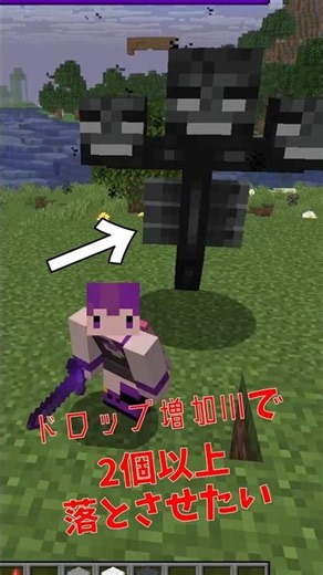 一回でドロップ増加IIIでネザースター2個以上ドロップするのか検証