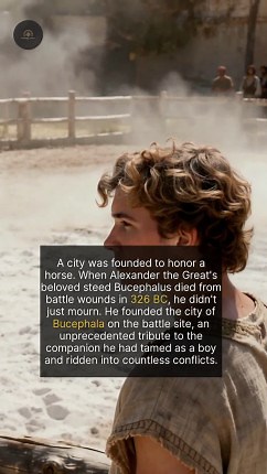 Alexander the Great founded a city to honor his beloved horse Bucephalus. | The History Vault