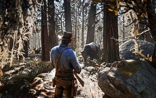 【4K】《荒野大镖客2》4080 ► 最新的秋季环境模组 - 极限画质 接近现实！