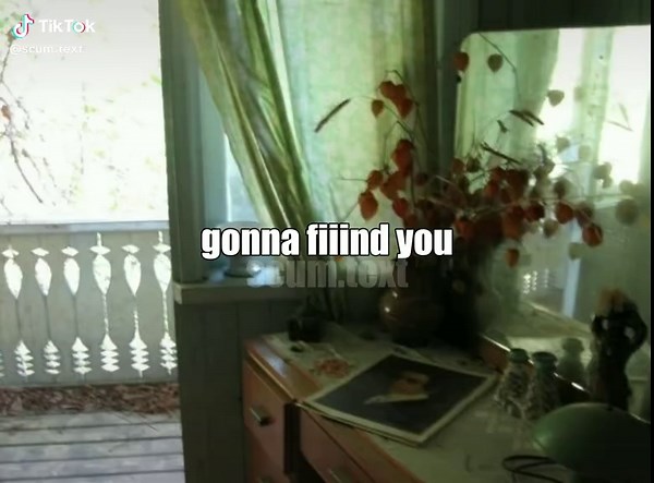 IShowSpeed: Shake Lyrics and Vibes