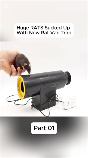 Testing Rat Vac Trap for Larger Rodents