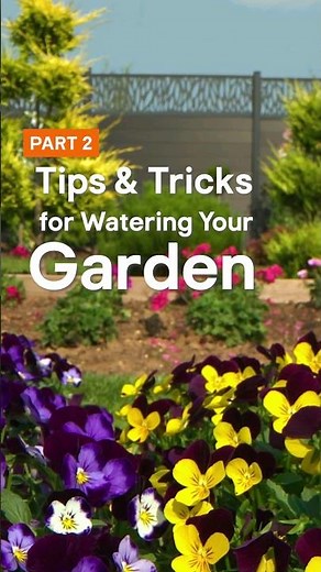 Become a gardening guru, Part 2: fabulous florals without wasting water! 🌹💦 #DIYtips #HowTo #BandQ