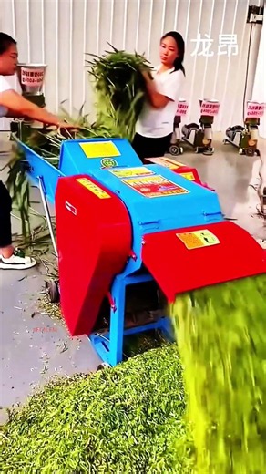 Feed crusher grinder for poultry and livestock #fcnfm #farmmachine