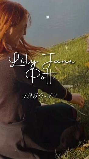 Lily Potter: A Deep Dive into Her Life and Legacy