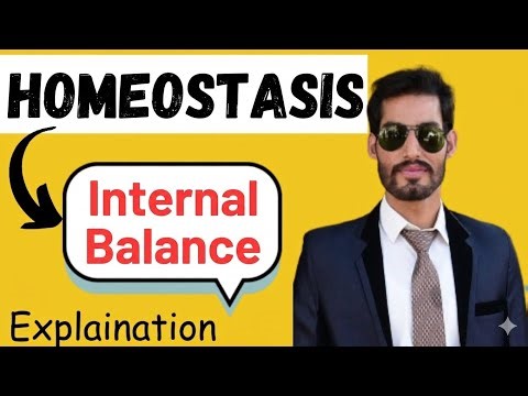 Homeostasis Explained | Thermoregulation, Osmoregulation & Excretion (Biology Made Easy)