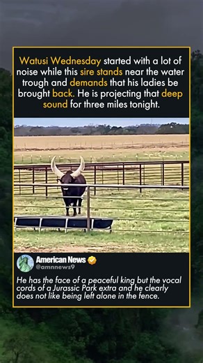 THE WIDE LOAD WITH A LOUD VOICE