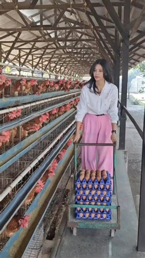 21K views · 428 reactions | This is how city farmers dress to farm...