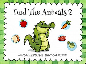Animals - Food Match - Feed The Animals 2