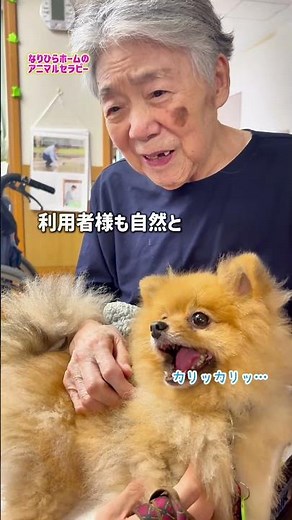 【特養レク】アニマルセラピーを実施しました🐶💛#かわいい #犬のいる暮らし #湖山医療福祉グループ