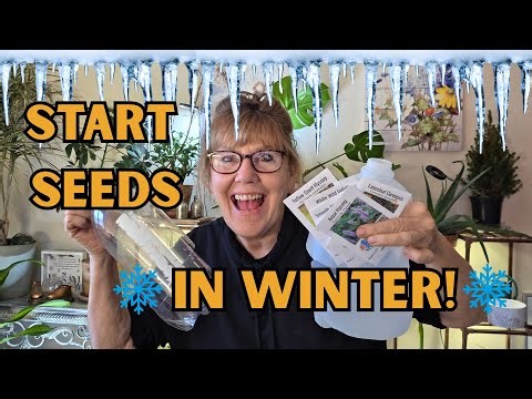 Winter Sowing Made Easy: What, When, How & Why + 10 Native Plants I’m Growing