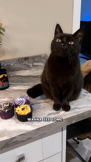 4.3K views · 84 reactions | Stay inspired and unlock your creativity...