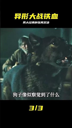 《異形大戰鐵血戰士2》：兩大經典外星種族的再次對決 #科幻電影 #异形大战铁血 #铁血战士 #异形 #科幻电影 #丛林