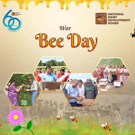 4.6K views · 57 reactions | On World Bee Day, NDDB highlights the...