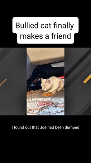 #geobeatsanimals #geobeats #animals #animal