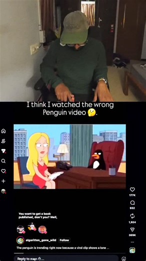 Muthu Madhan on Instagram: "Wht the f with 🐧😡 penguin shite ? #penguin #viral #whathappenedtopenguin #trendingreels #fypppppppppppppppppppppppppppppppppppppppppppppppppppppppppppppppppppppp"