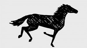 2d Animation Line Drawing Horse Stallion Stock Footage Video (100% Royalty-free) 3576652417 | Shutterstock