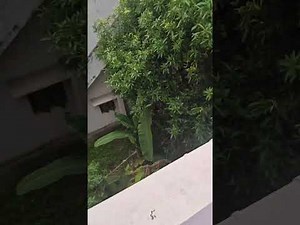 Hey guys how to open tap