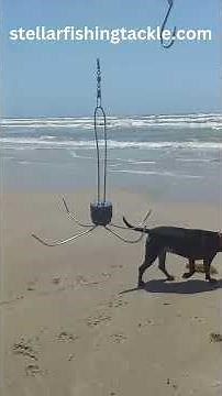 How To Fish With Surf Spider Weights. #howto #fishing #spider