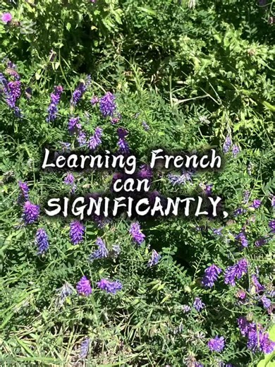 Learn French With Stephanie on TikTok