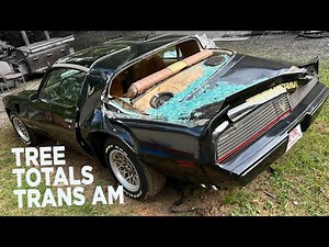 1979 Pontiac Trans Am Totaled by Tree in Alabama