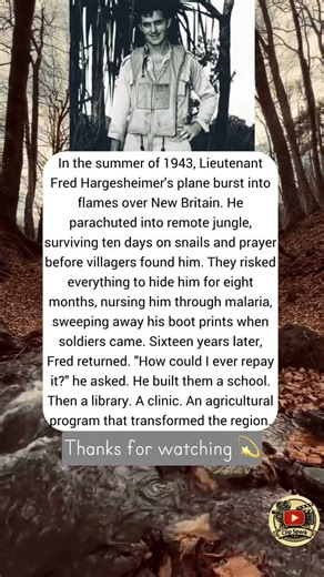 In the summer of 1943, Lieutenant Fred Hargesheimer's… #shorts #shortvideo #warzone #news #history
