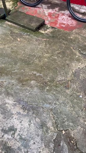 Exploring the Giant XTC Racing Machine