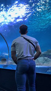 Big fish: tips and highlights from a viral catch