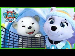 Pups Bring a Polar Bear Cub Back Home - PAW Patrol Episode - Cartoons for Kids - Videos For Kids
