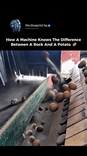 Engineering | AI | Tech | This machine saves you from breaking a tooth. 🥔⚙️ You’re watching a high-speed potato sorting machine in action. When potatoes are... | Instagram