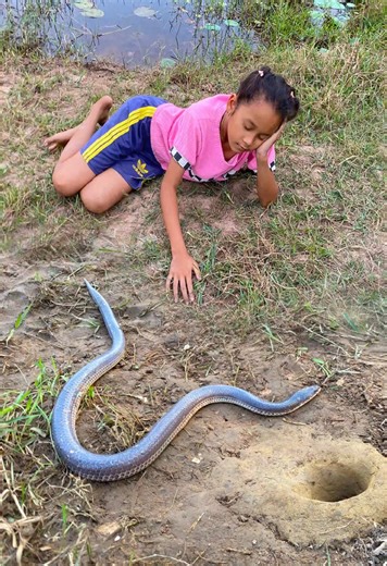 Effective DIY Snake Trap for Camping