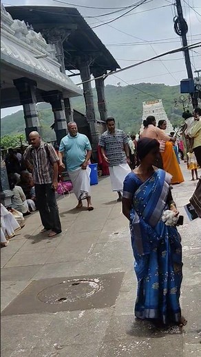 Tirumala Tirupati Balaji temple#ttd #govinda #india #nature Srinivasa Venkateswara Swamy Temple