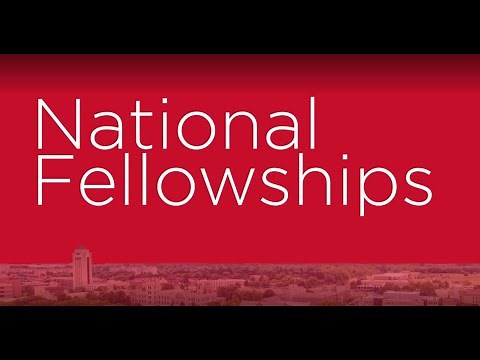 What is a Fellowship?