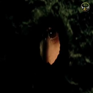 THE BEST ROMANTIC MOVIES 2021 | Character Movies