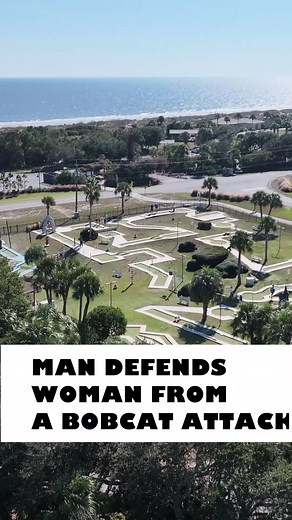 A man defends a woman from bobcat attack | First Coast News