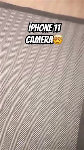 iPhone 11 camera #plants