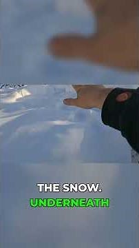 Understanding Ice Dams & Roof Damage