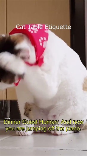 How to Build a Civilized Table (Cat Edition), 130 cat table etiquette