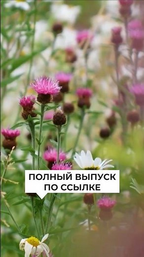 To take or not to take | How to choose plants for the garden?